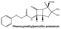 CSPHENPO.gif