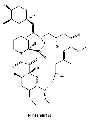 CSPIMECR.gif
