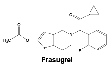 CSPRASUG.gif