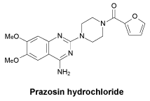 CSPRAZOS.gif