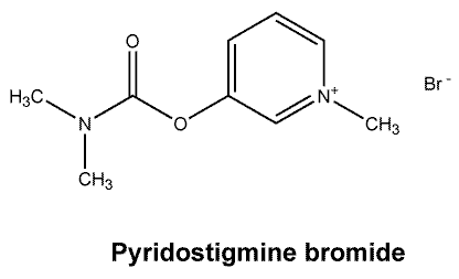 CSPYRBRO.gif