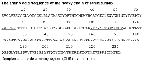 CSRANI1A.gif