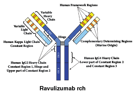 CSRAVULI.gif