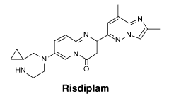 CSRISDIP.gif