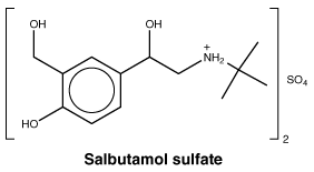 CSSALBSU.gif