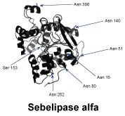 CSSEBELI.gif
