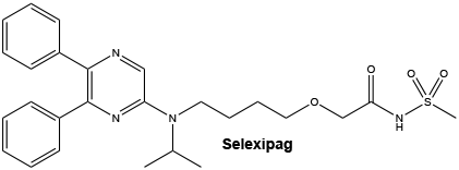 CSSELEXI.gif