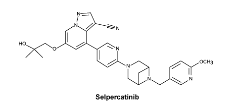 CSSELPER.gif
