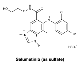 CSSELUM.gif