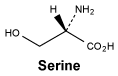 CSSERINE.gif