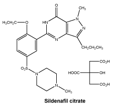 CSSILDEN.gif