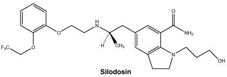 CSSILODO.gif