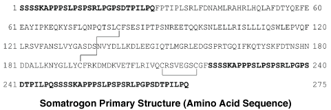 CSSOMATR.gif
