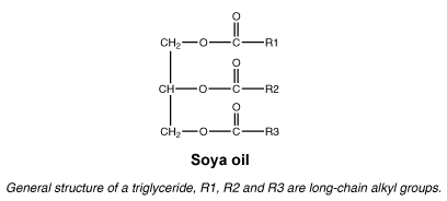 CSSOYAOI.gif