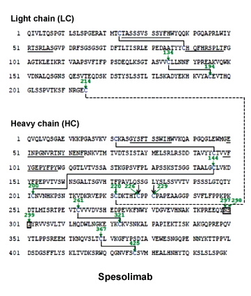 CSSPESOL.gif