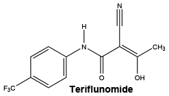 CSTERIFL.gif