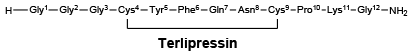 CSTERLIP.gif