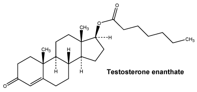 CSTESENA.gif