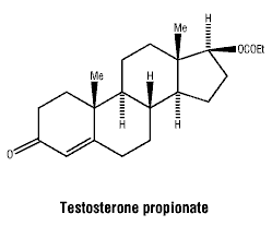 CSTESPRO.gif