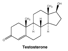 CSTESTOG.gif
