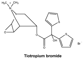 CSTIOBRO.gif