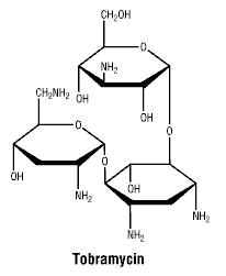 CSTOBRAM.gif