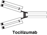 CSTOCILI.gif