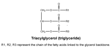 CSTRIACG.gif