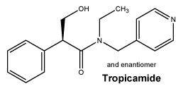 CSTROPIC.gif