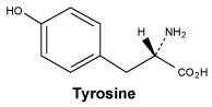 CSTYROSI.gif