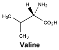 CSVALINE.gif