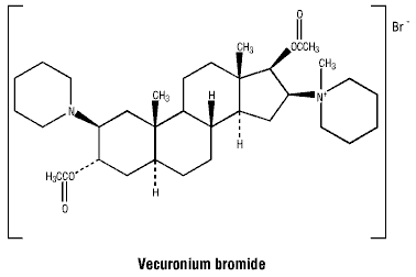 CSVECBRO.gif