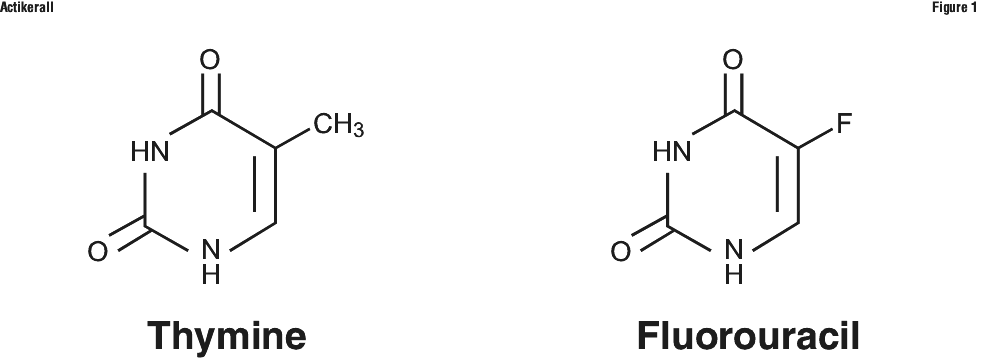 ACKFIG01.gif