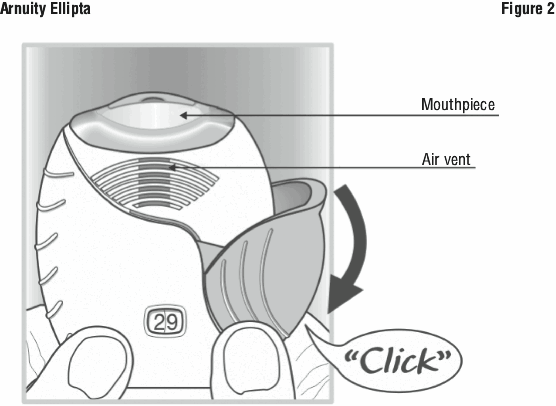 ARUFIG02.gif