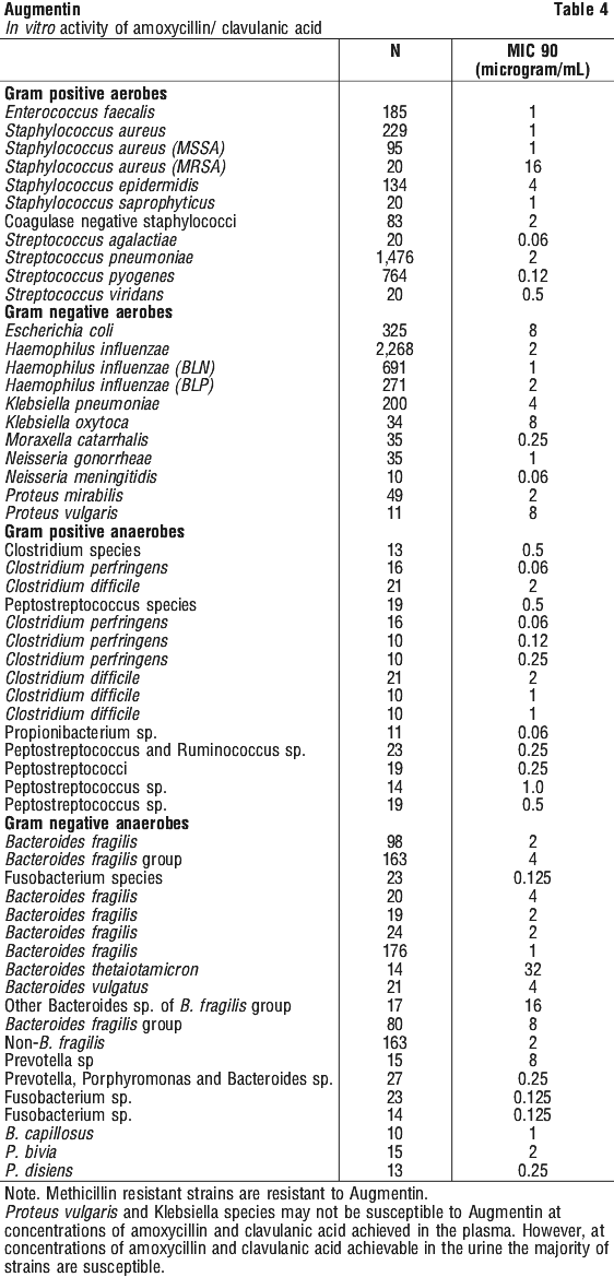 AUGMEN04.gif
