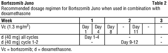BORJUN02.gif