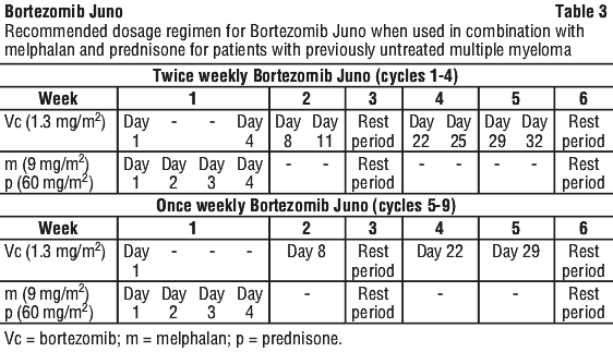 BORJUN03.gif
