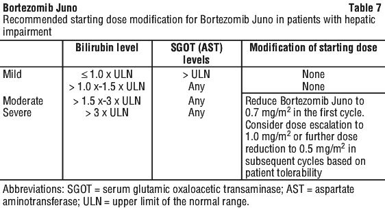 BORJUN07.gif