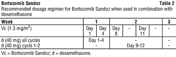 BORSAN02.gif