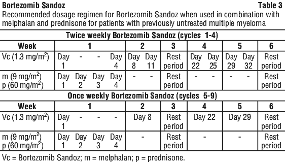 BORSAN03.gif