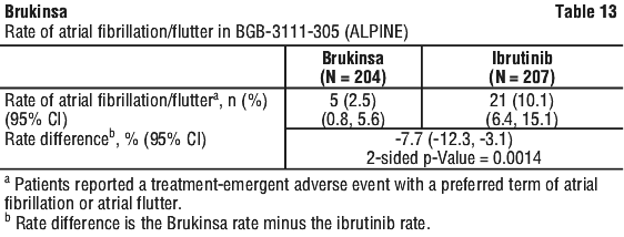 BRUKIN13.gif