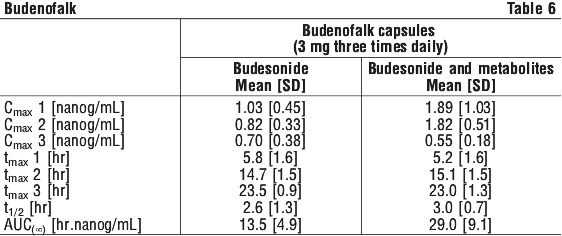 BUDENO06.gif