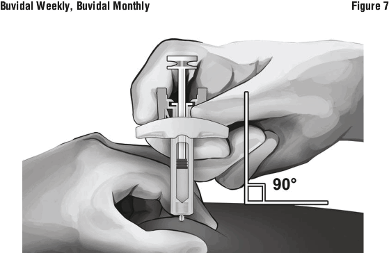 BVMFIG07.gif