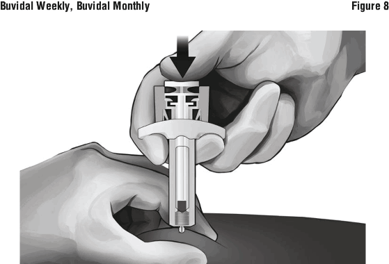 BVMFIG08.gif