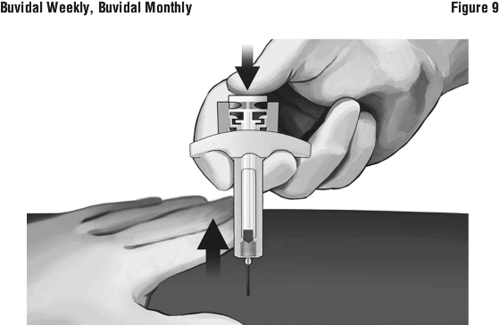 BVMFIG09.gif