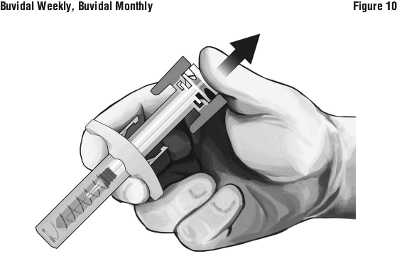 BVMFIG10.gif
