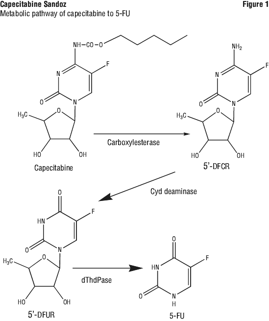 CAPSFIG1.gif