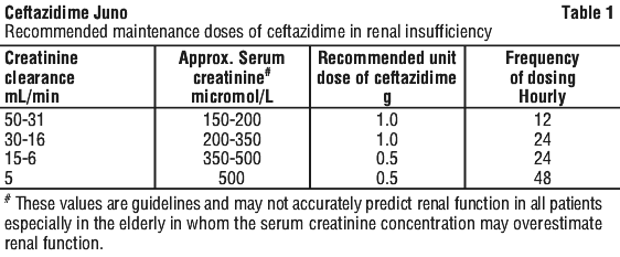 CEFJUN01.gif