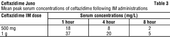 CEFJUN03.gif