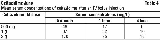 CEFJUN04.gif